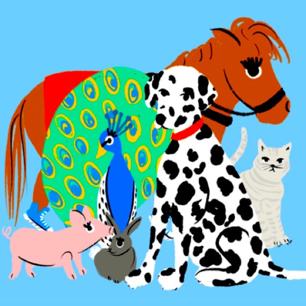 PETS 🐶 🐈‍⬛